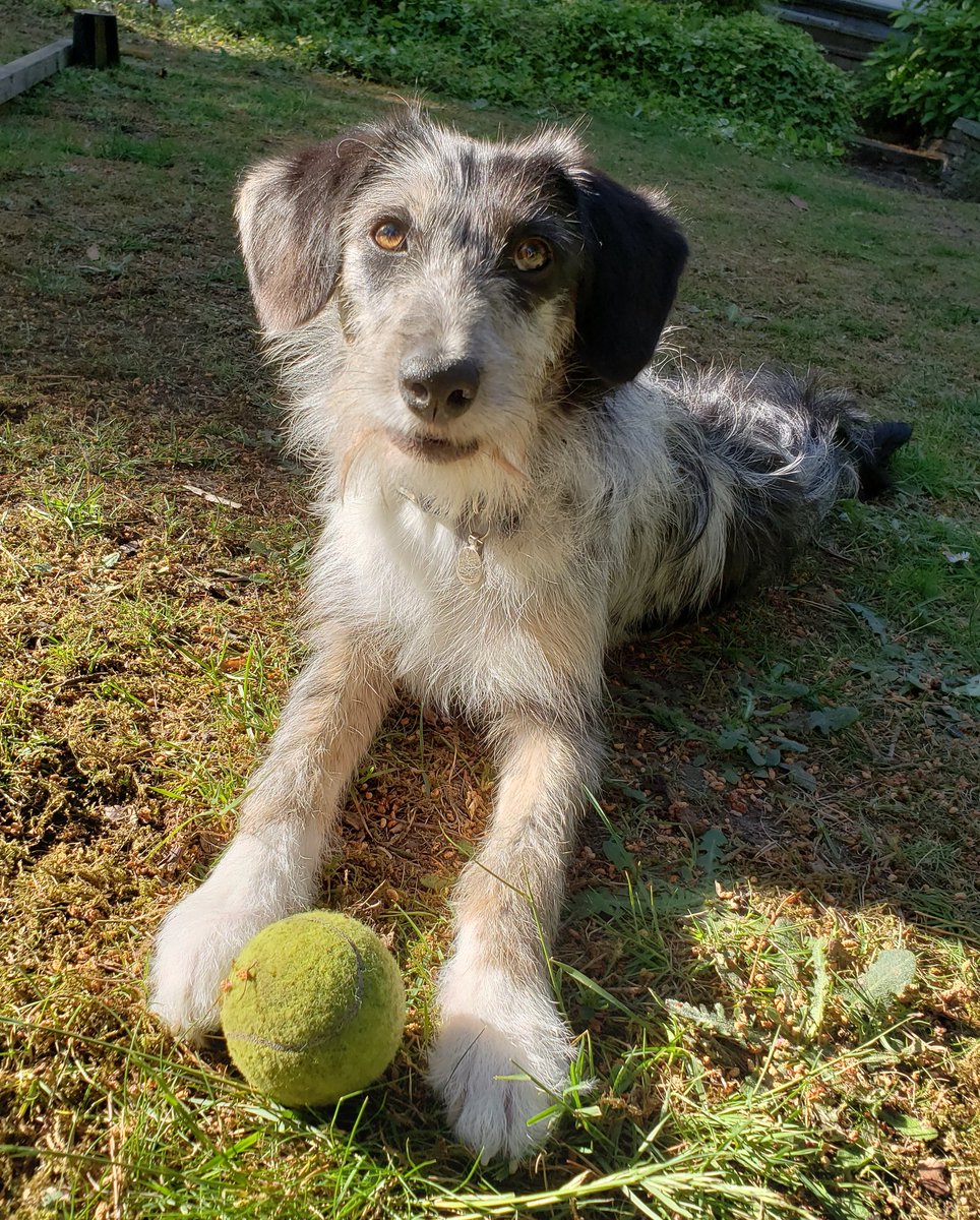 Looks like my week is planned out for me - hope everyone has a good half term!