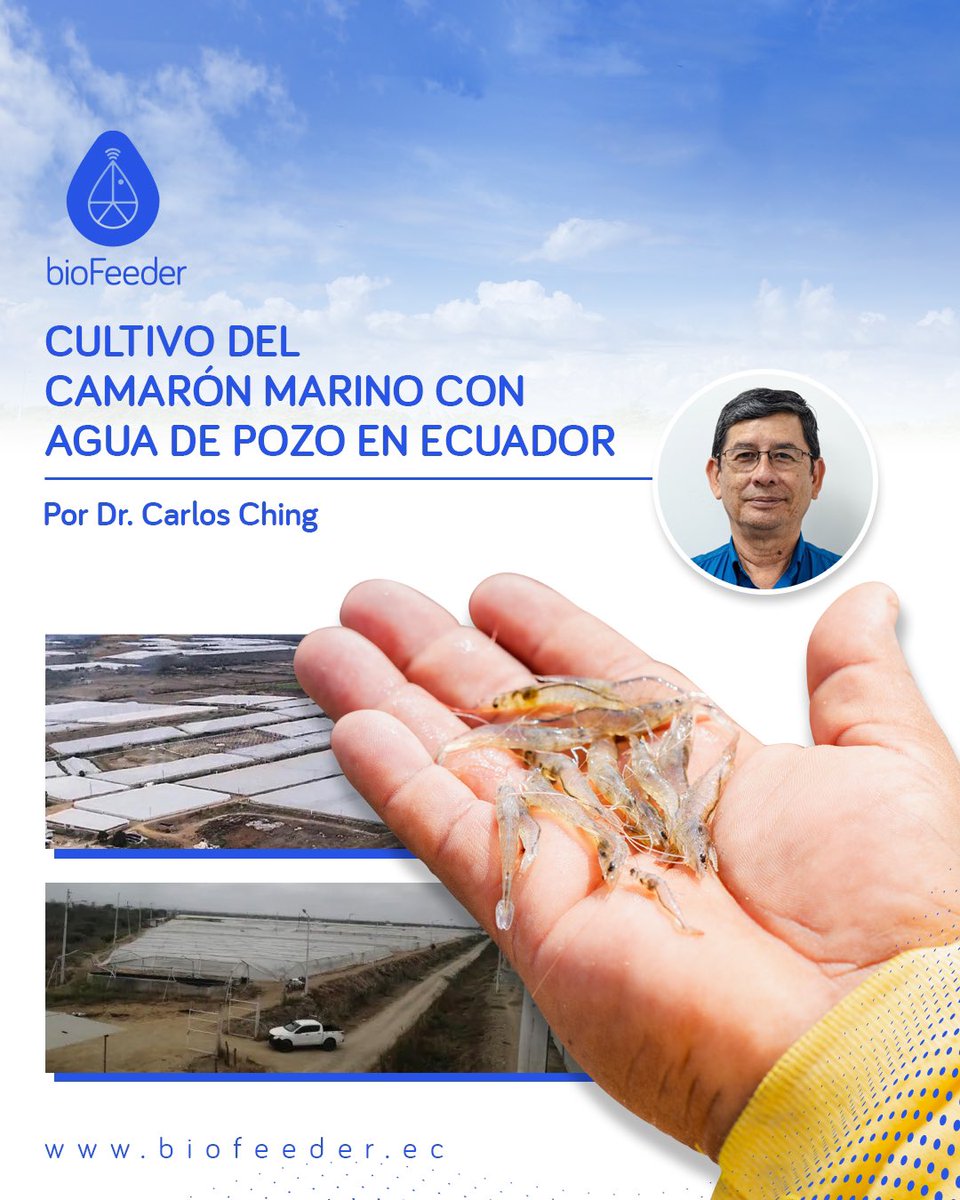 bioFeeder_Ec's tweet photo. Tenemos un nuevo artículo subido en nuestro blog de la página web de BioFeeder 🦐✨

Dale click al siguiente enlace para leerlo  🔗 
https://t.co/qtQgYJ4DFX

Escríbenos para mas información a ventas@biofeeder.net 📨

Cotiza ahora https://t.co/LdKzPZPiQH