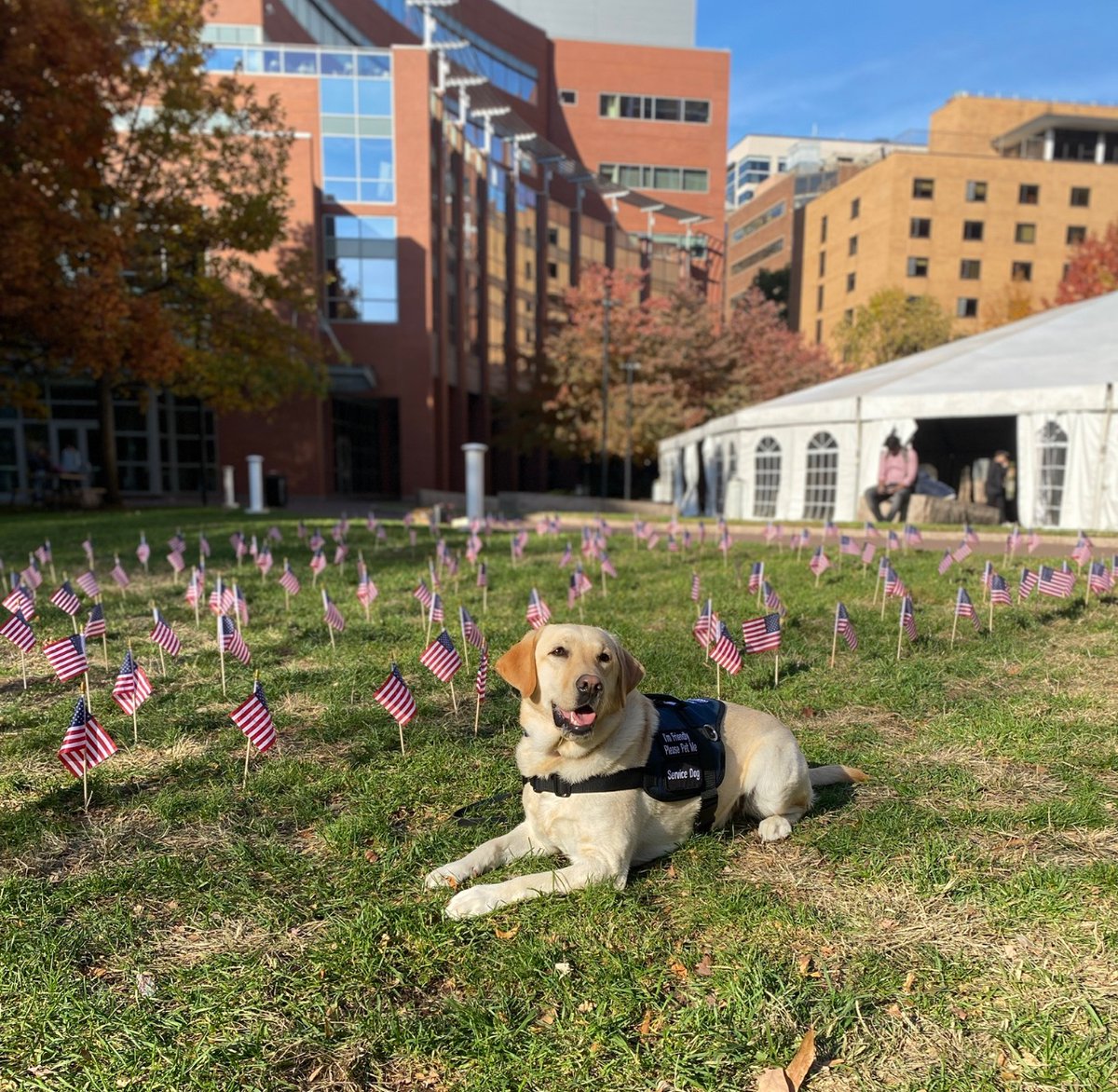This Memorial Day 🇺🇸 Jefferson College of Nursing remembers the men and women that have made the ultimate sacrifice. 
#memorialday #honorandremember