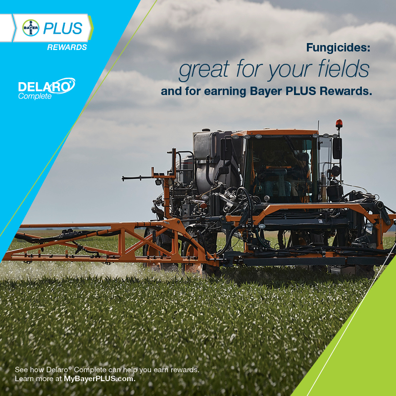BayerCropProUS's tweet photo. There are fungicides, but then there are fungicides that protect your yield potential AND are #BayerPLUS Rewards eligible.
https://t.co/QOQYgtxD80
#CropProtection https://t.co/HH6lqvvKH4