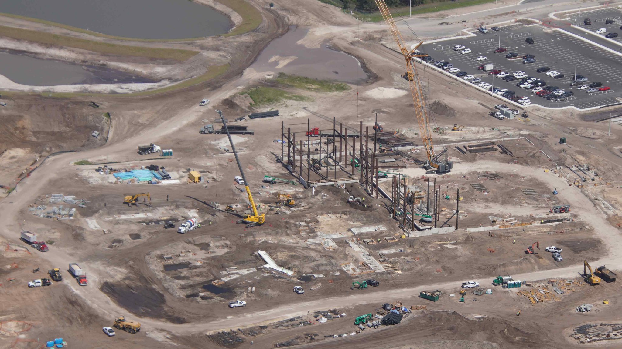 bioreconstruct on Twitter: