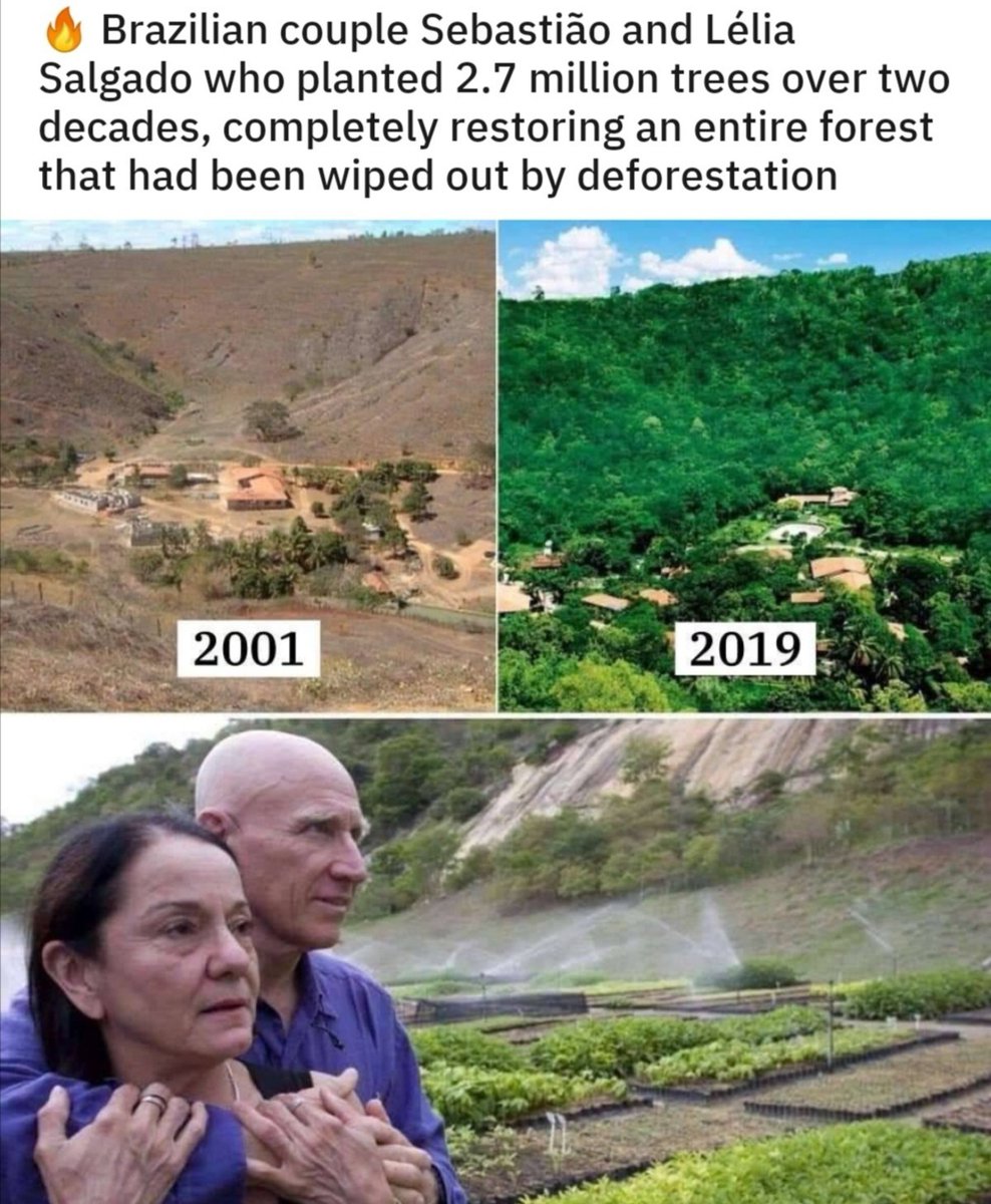 PTSDGuts tweet media