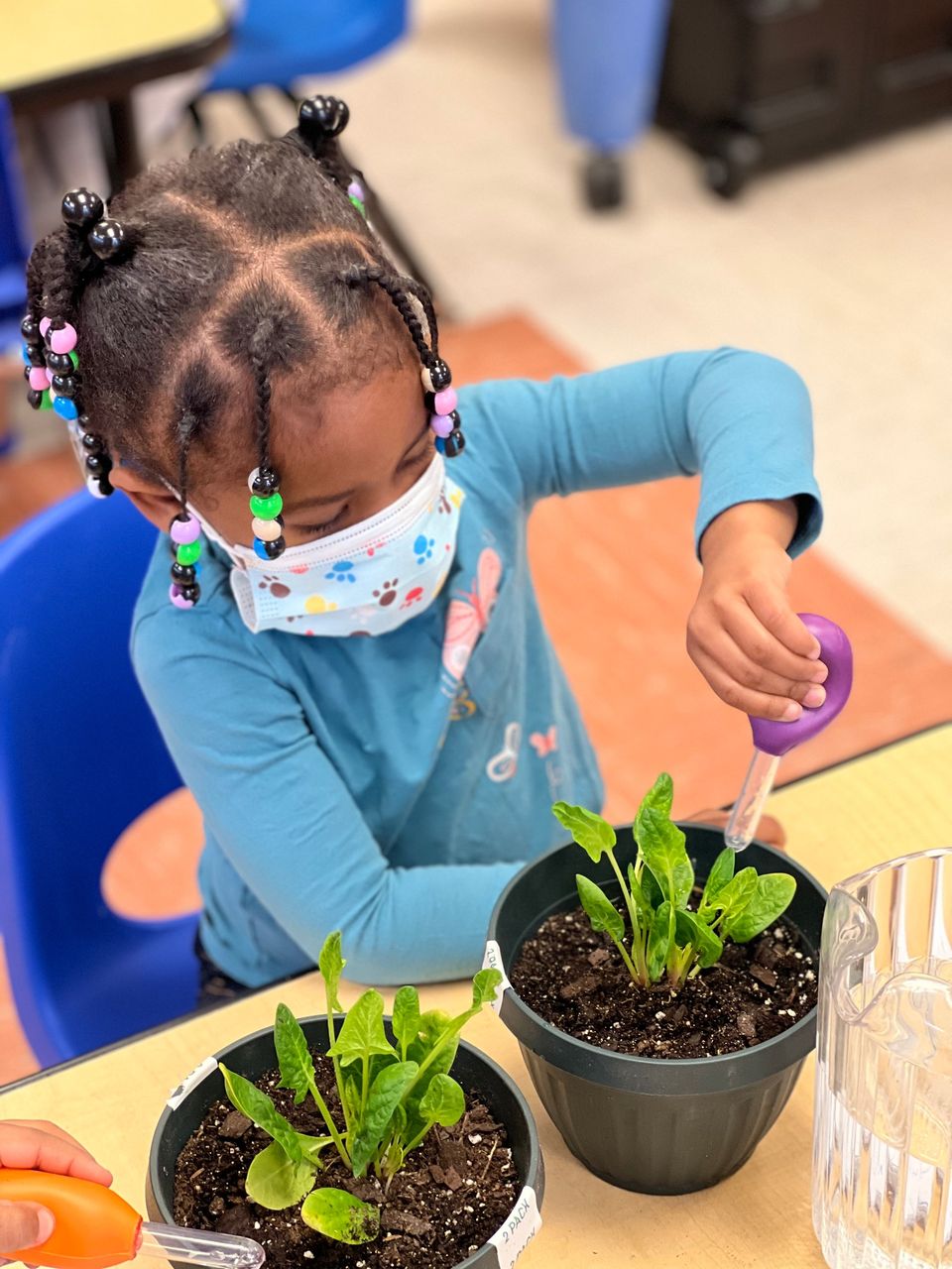 The FEEd Lab on Twitter: 