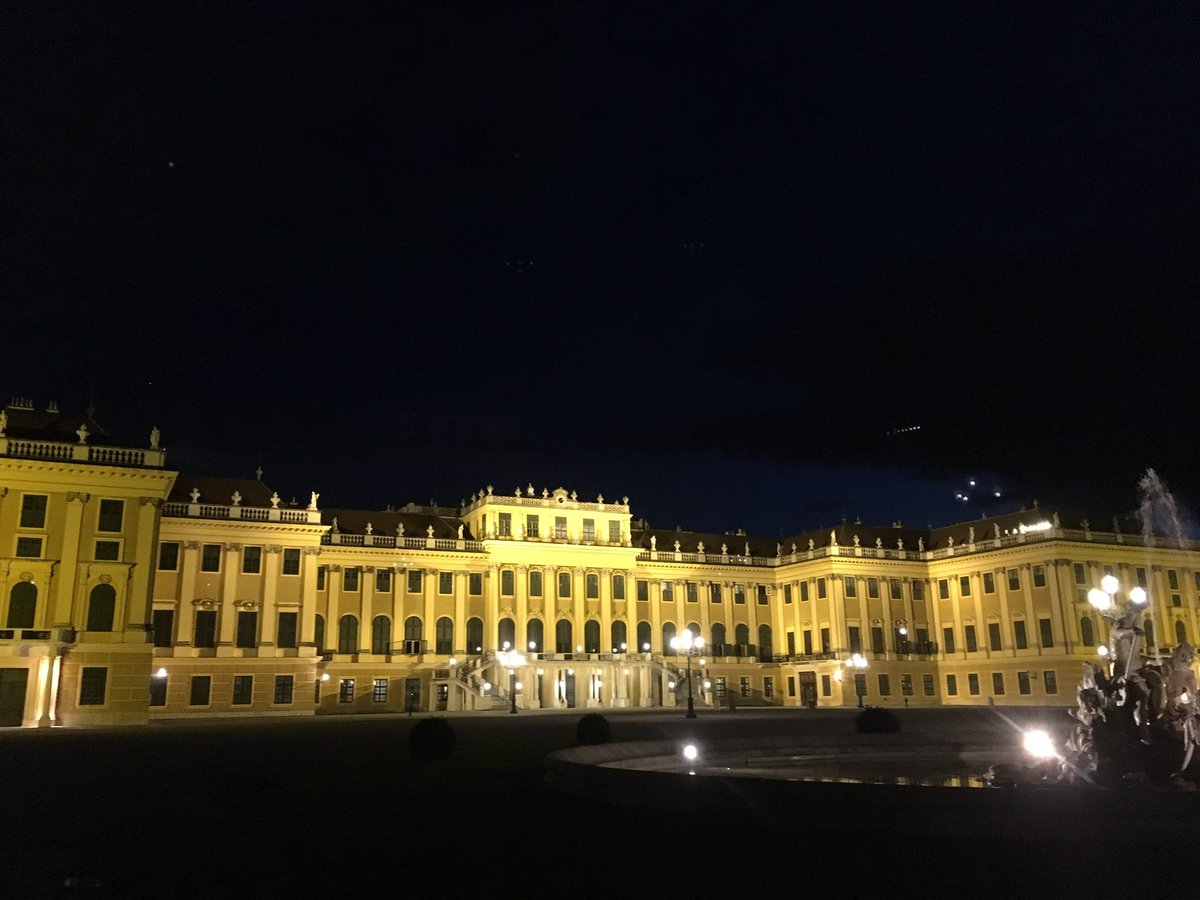 VinoSocialNancy's tweet photo. Hopefully this works for the #Top4Gold pics! I found gold in:
1. Golden Tokaj Aszu cellar in Hungary @TokajiDisznoko
2. Schoenbrunn Palace in Austria
3. Weinguter Wegeler golden Auslese Riesling #wine in the Rheingau
4. Schloss Gobelsburg in Austria
#travel @LiveaMemory https://t.co/q2Iw3nNuzq