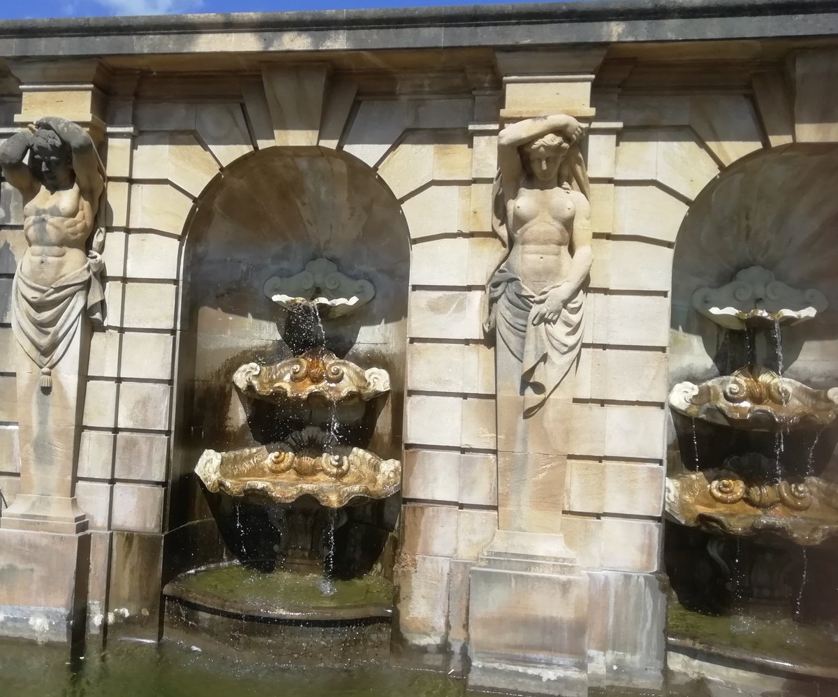 Helen Foreman tweet media