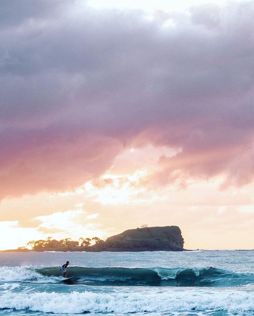 Come Back Daily tweet media