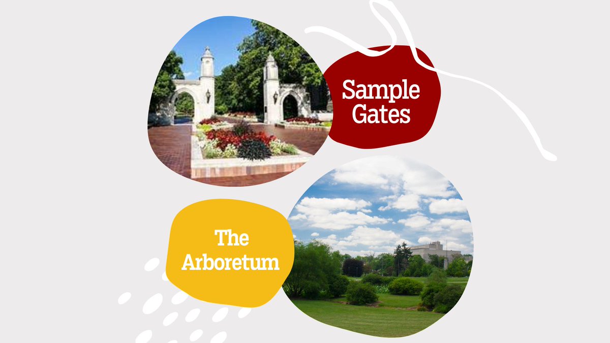 Indiana University Writers' Conference tweet media