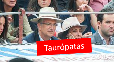 DianaSansores7's tweet photo. @AztecaNoticias A los que vamos a impugnar es a ustedes, voy a solicitar a mi sistema de cable que me quiten sus canales, y si no lo aceptan, cancelaré mi suscripción 😡 #AztecaApesta #SalinasPliegoTaurópata. #FueraTaurópatas enfermos! https://t.co/X71rGh67rc