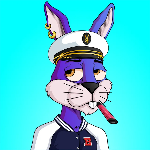 AdmiralDAO's tweet photo. Admiral DAO just purchased 2 @BunniesNHomies NFTs! 🐰🐰

We are always looking for the best #Solana projects that are doing awesome out there &amp; bring value to the #NftCommunty!

What project should we invest in next? https://t.co/RVzmS7bNvw