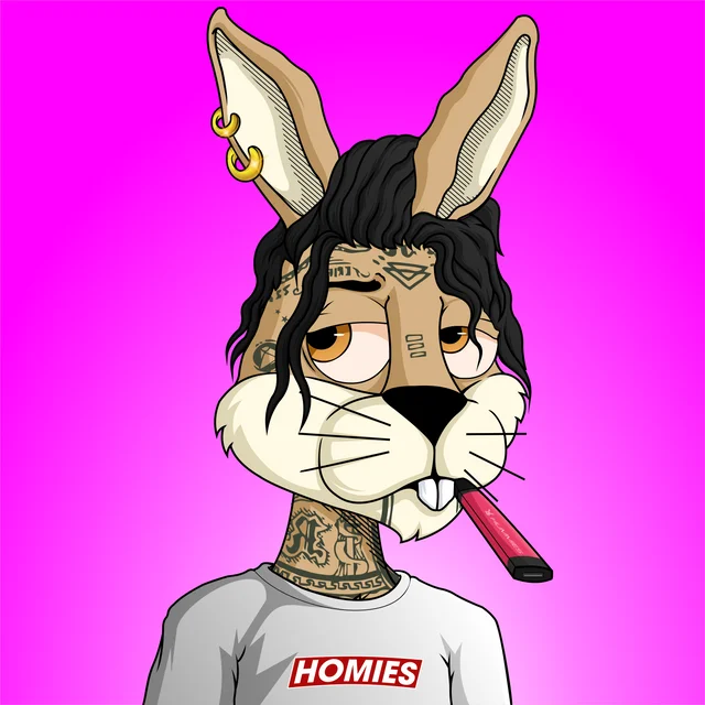 AdmiralDAO's tweet photo. Admiral DAO just purchased 2 @BunniesNHomies NFTs! 🐰🐰

We are always looking for the best #Solana projects that are doing awesome out there &amp; bring value to the #NftCommunty!

What project should we invest in next? https://t.co/RVzmS7bNvw