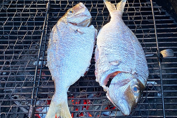 NOAAFish_NEFSC's tweet photo. If your big Memorial Day weekend catch happens to be scup, try this super easy grilled scup recipe! It’s served with nothing more than coarse sea salt to give it a crispy bacon-like skin. #FishWatch scup recipe: https://t.co/DNtrfp9X2D. #EatSeafoodAmerica #WhatsOnYourPlate https://t.co/HaO4fzmZN1