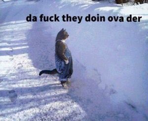 Me looking at niche IV twitter personalities canceling each other for no apparent reason