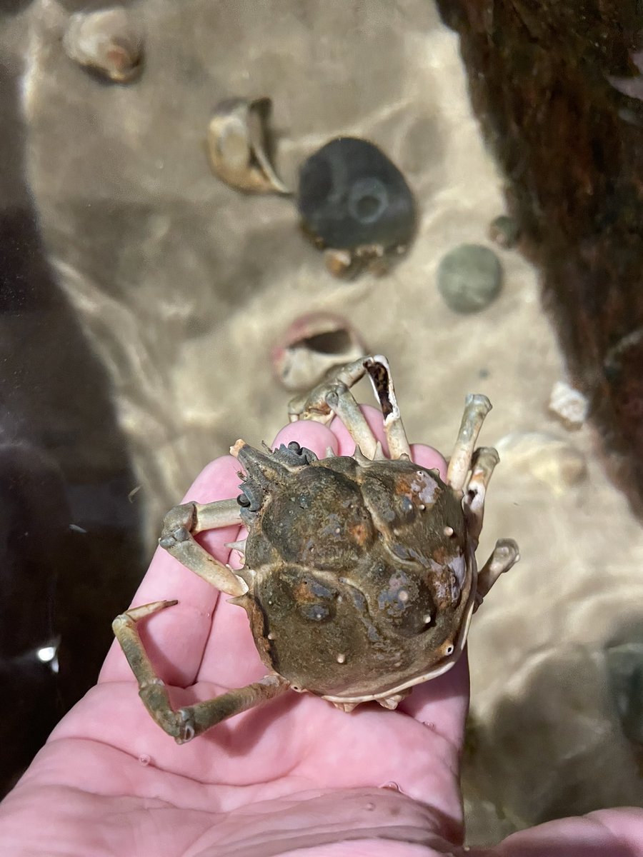 What an amazing day at the Aquatarium!! 🐟🐢🦀We got to see so many fascinating creatures and walk through the oldest train tunnel in Canada!