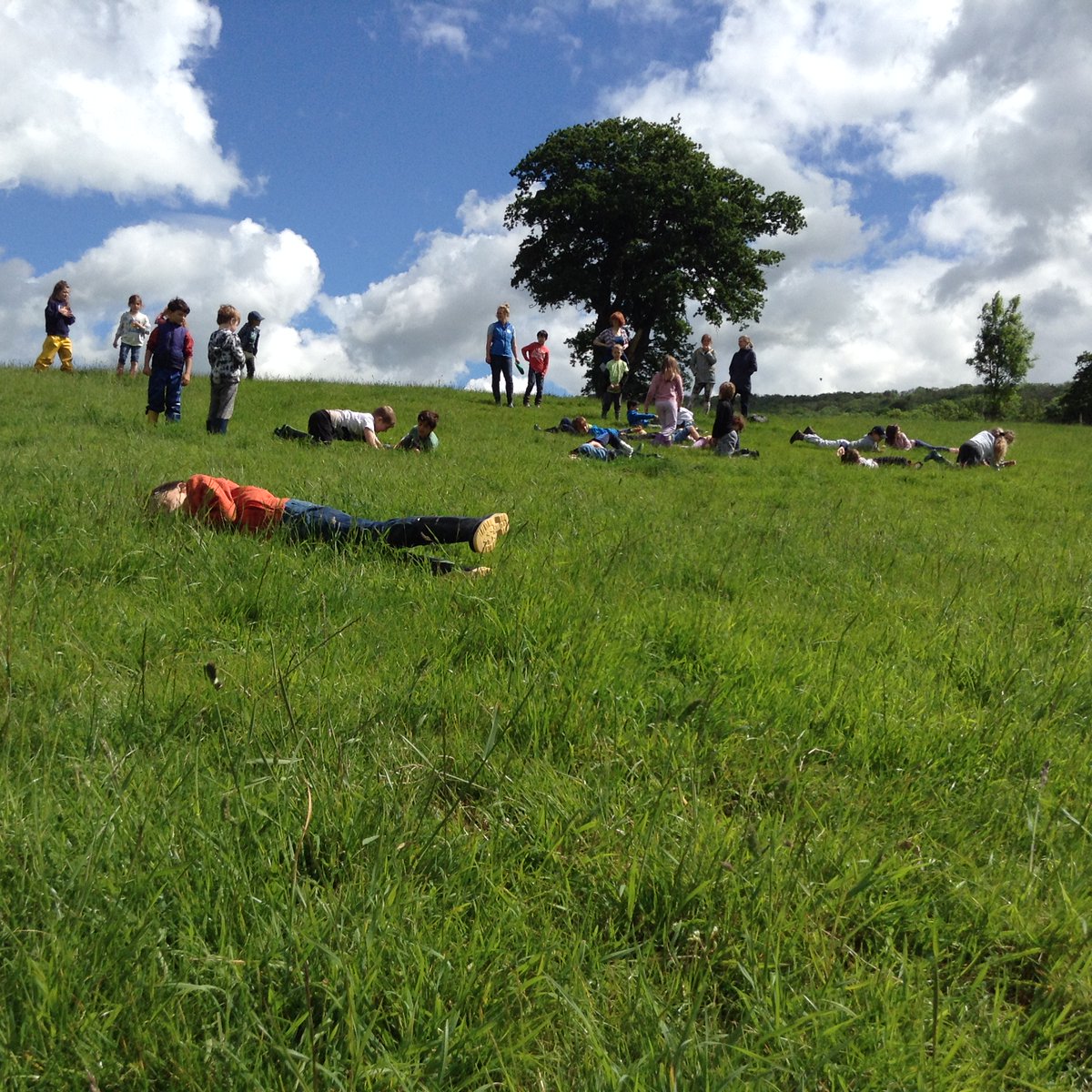 A wonderful final week of term 5, which has included farm visits and culminated in a wonderful Platinum Jubilee celebration. Happy half-term!
