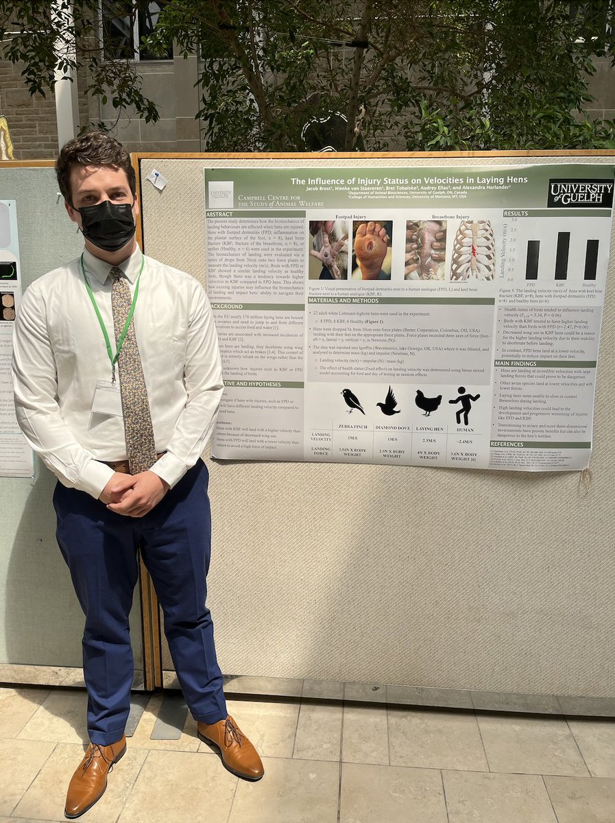 Campbell Centre for the Study of Animal Welfare tweet media