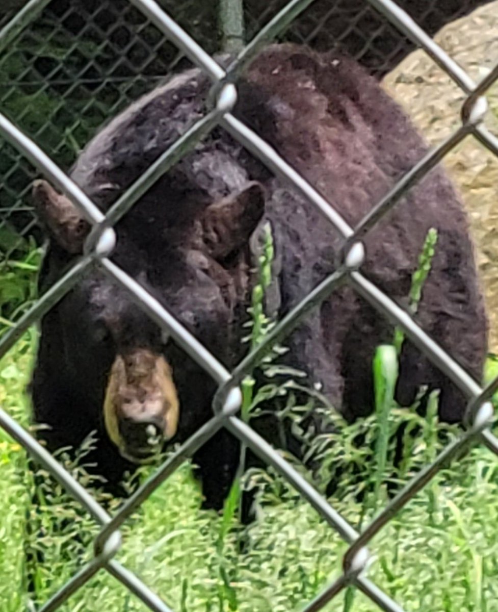 2nd Grade at MT tweet media