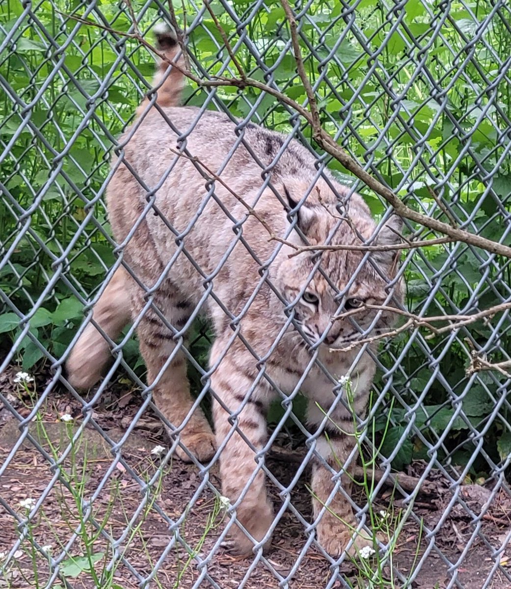 2nd Grade at MT tweet media