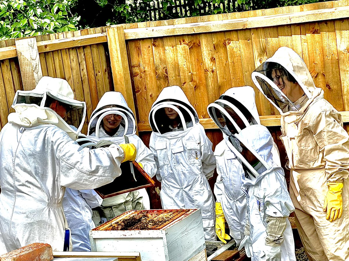 Today <a href="/MowmacreHill/">MowmacreHillPrimary</a> we started our Ju”Bee”ilee celebrations by welcoming our new #Royal Bee Colony to our School. The community were invited to join us in our Apiary to meet the #Queen 🐝🐝🐝 <a href="/RoyalFamily/">The Royal Family</a> <a href="/Buzzing_Roots/">Buzzing Roots</a> #JubileeCelebration #community #MowmacreFamily 🐝🐝🐝