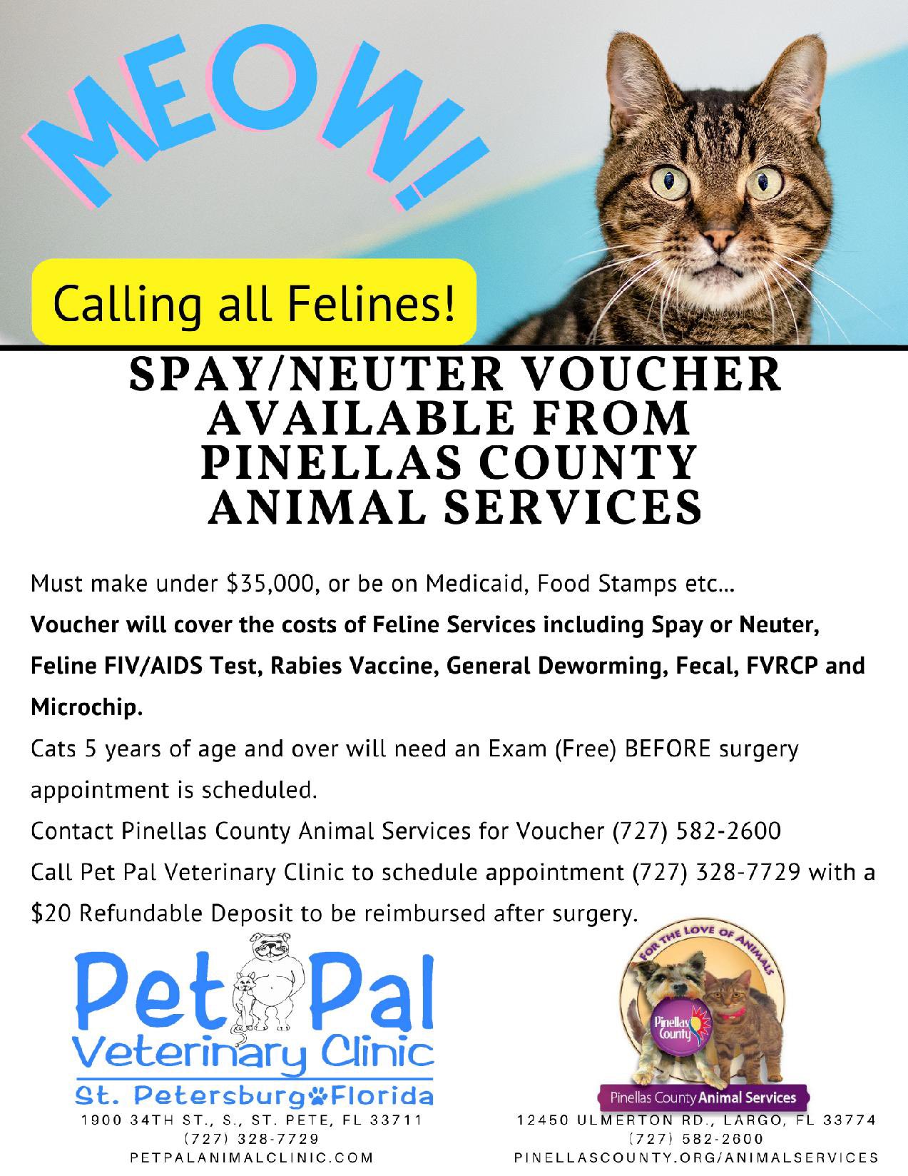 Pet Pal Shelter (@PetPalStPete) / Twitter