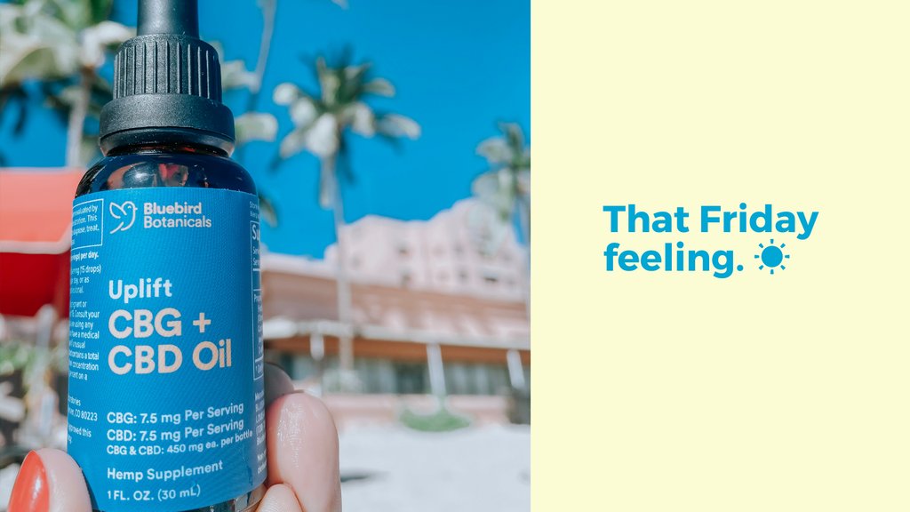Bluebird Botanicals tweet media