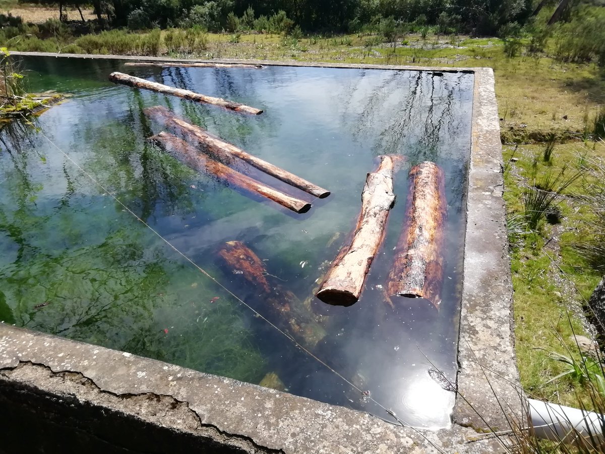 xarxaforestal's tweet photo. Fusta
Circularitat
Disseny
#bioeconomia
#Amarar
@IDIbalears
https://t.co/Q2ZTZ00IgL https://t.co/S8eNy3nE9Z