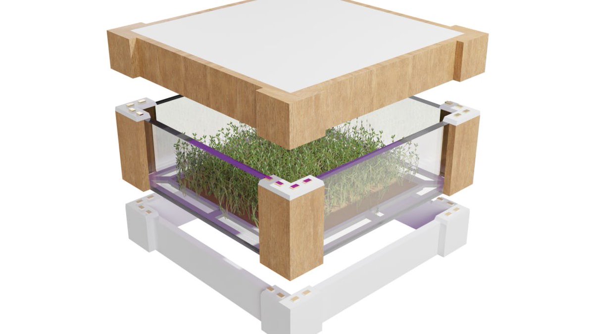 Mykhailo Shtopko tweet media