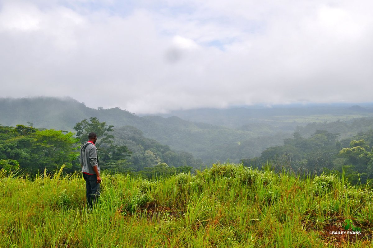 Wishing you and your loved ones a wonderful weekend! 💚💚💚