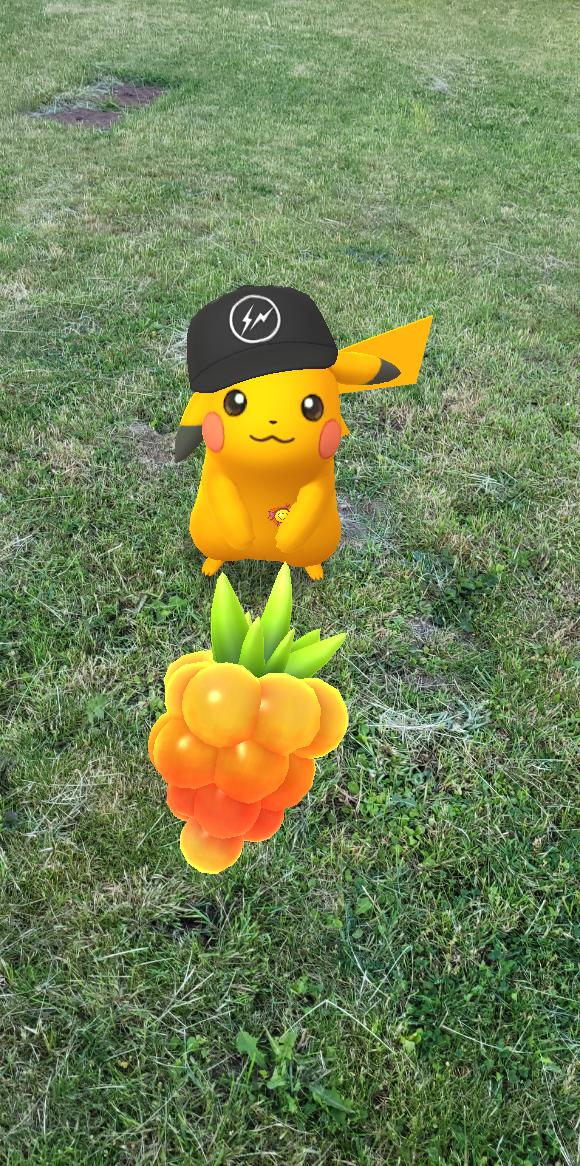 PattyPupuce's tweet photo. @PokemonGoApp https://t.co/VLGfT92ld1