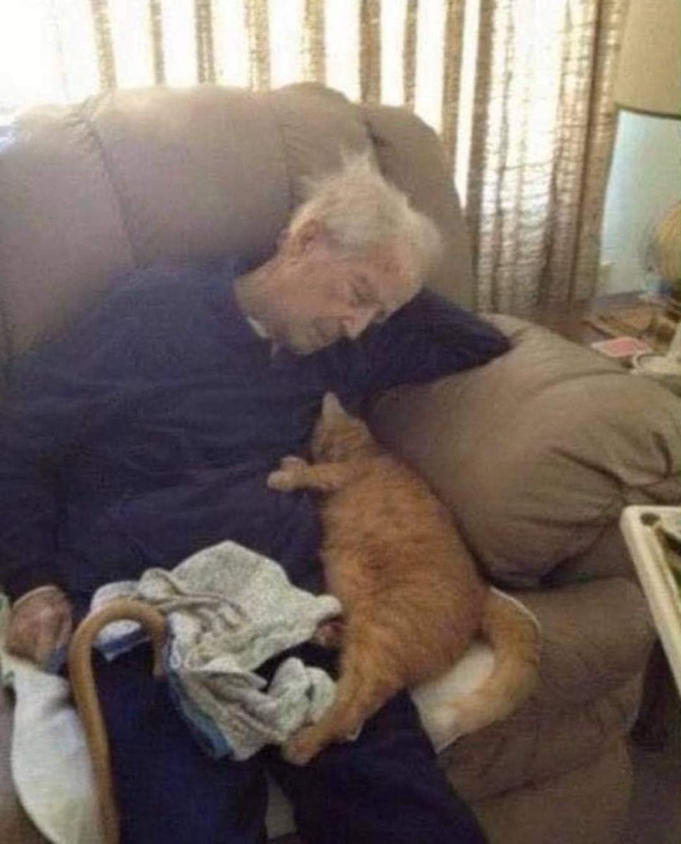 AnnaMar49841121's tweet image. Une femme écrit...
" C ' est mon père, avec Robin, le chat que nous avions dans la maison depuis 17 ans. Quand on les a vus dormir si tendrement, nous avons couru chercher l'appareil photo.
C ' est la dernière photo de mon père