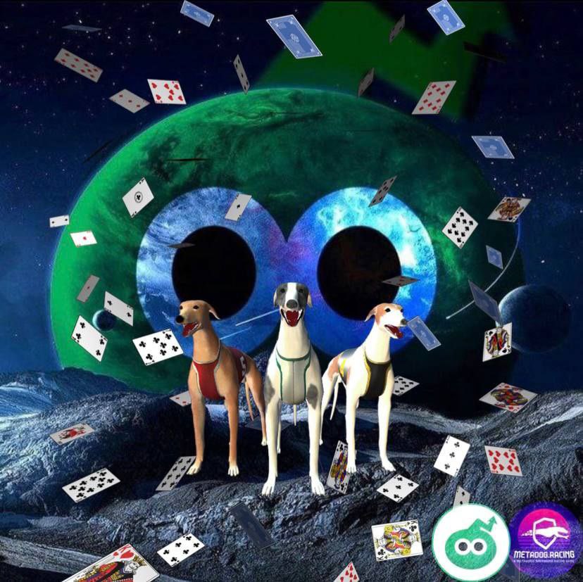 GreenChartBSC's tweet photo. @GreenChartBSC X @metaraceworld 

We are Starting with MetaDog the first Collaboration Poker Tournament!

500$ price!
The Sign in is FREE!

Join on the telegram groups for more info!

https://t.co/66KzmIWNku
https://t.co/U1Plns0fWw

#Poker #BSC #ETH #blockchain https://t.co/DKxg0vb6tQ