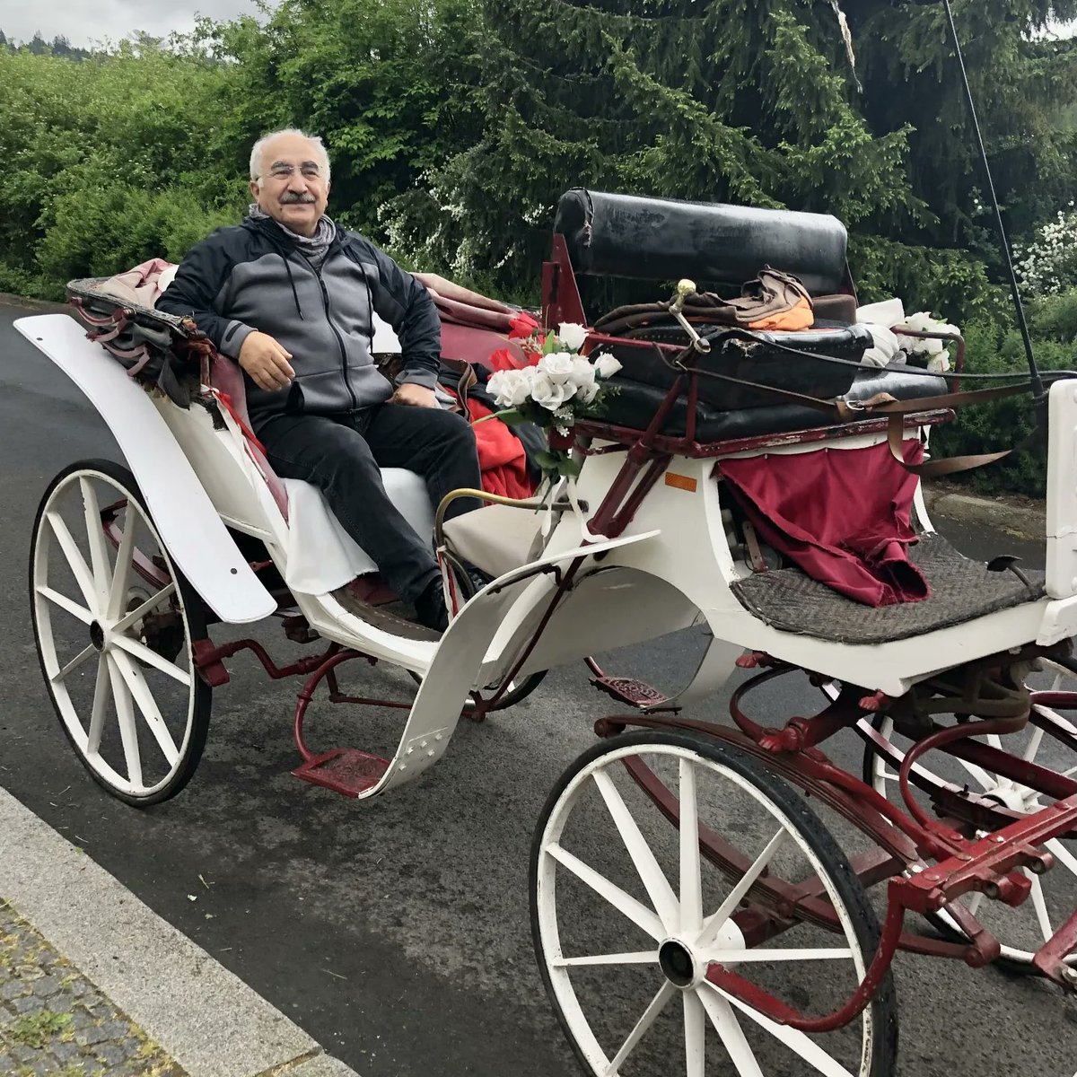 Ji hisreta faytonên Amedê