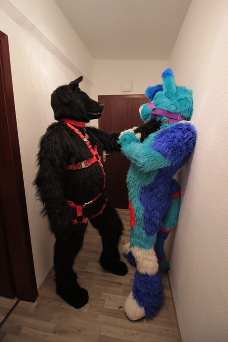 Nya~ would you plz give me my air back? I&rsquo;ve been a good cat UwU  #FursuitFriday  🐺: @BrekADarkWolf  📸:<a href="/tag/fursuitfriday"class="tags"><span>#fursuitfriday</span></a>