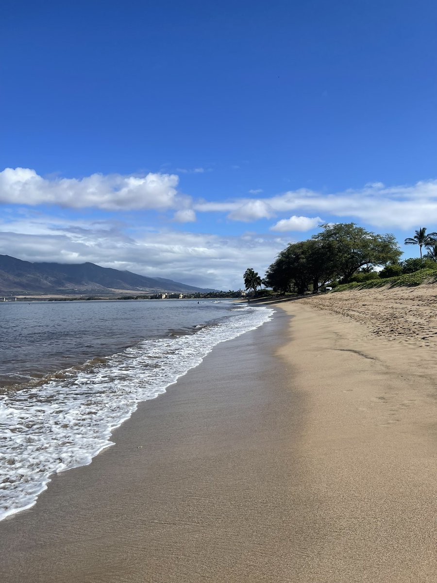 RandyTaradash's tweet image. Morning stroll
#maui #kihei #emptybeach