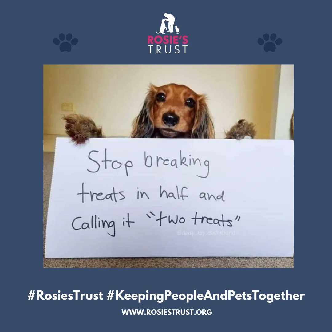 RosiesTrust's tweet photo. Uh-oh we've been rumbled π
Have a lovely weekend everyone! #RosiesTrust #KeepingPeopleAndPetsTogether #DogsAreFamily https://t.co/cpkf998oxp