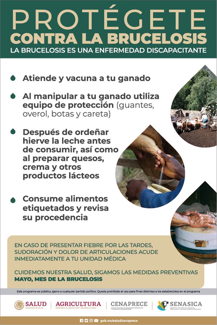 SENASICA's tweet photo. La #brucelosis es una enfermedad infectocontagiosa de origen bacteriano que afecta a bovinos 🐂, porcinos🐖, ovinos🐑, caprinos🐐, equinos🐎, camélidos 🐪 y perros 🐕, puede infectar a otros rumiantes, mamíferos marinos y al ser humano https://t.co/3CepIKCBNC