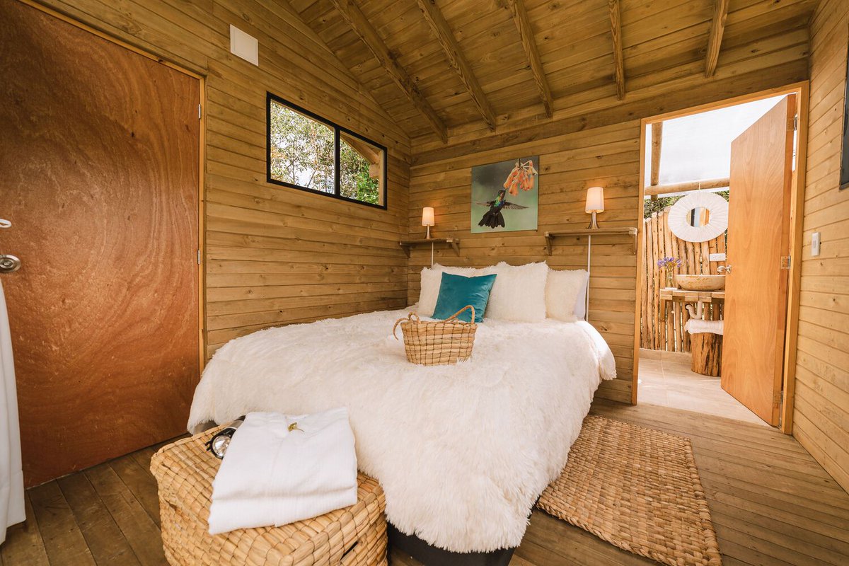 SINERGIA SOSTENIBLE tweet media