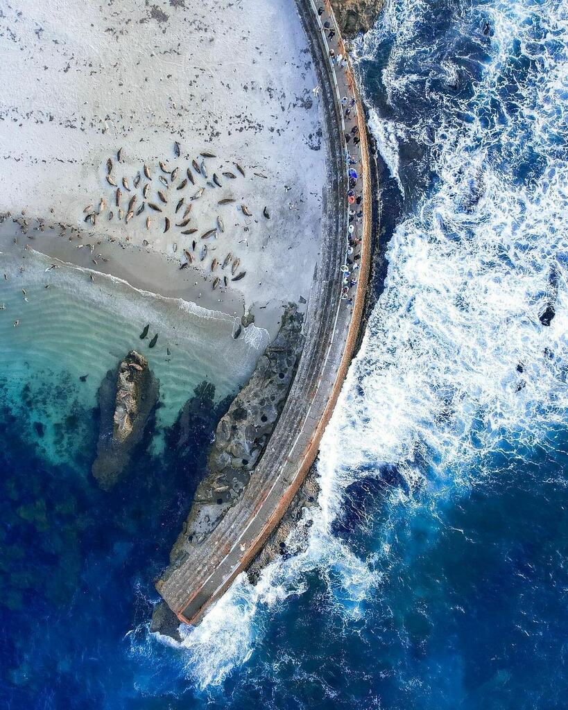 One of our favorite pastimes is saying hello to the seals at La Jolla’s Children’s Pool!
↯
This aerial shot from <a href="/jpramzyfotos/">jpramzyfotos</a> captures these aquatic cuties lazing in the sun.
↯
Want your photo featured? Simply follow us <a href="/SanDiegoPhotos/">San Diego Photos</a> and tag your … instagr.am/p/CeEoVrxPfEg/