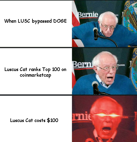 Luscus Cat tweet media