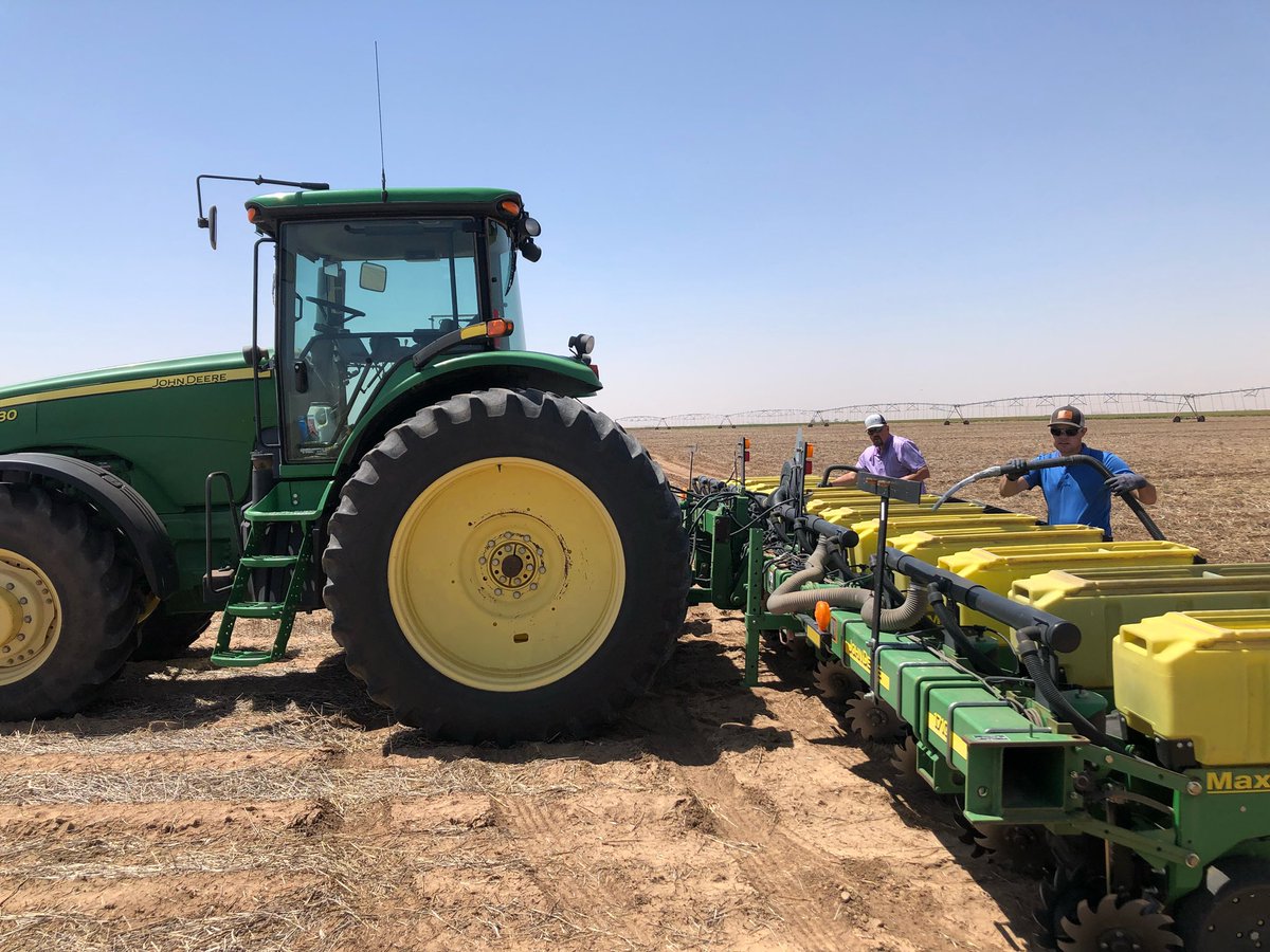 SeedNEWS4You's tweet photo. π Umbarger, TX and Shenck Farms! Thanks for putting our guys (Roger Gist & Justin Brown) to work on the plot ππͺπ½ #getPERFORMANCE https://t.co/6GdNKQfO6q