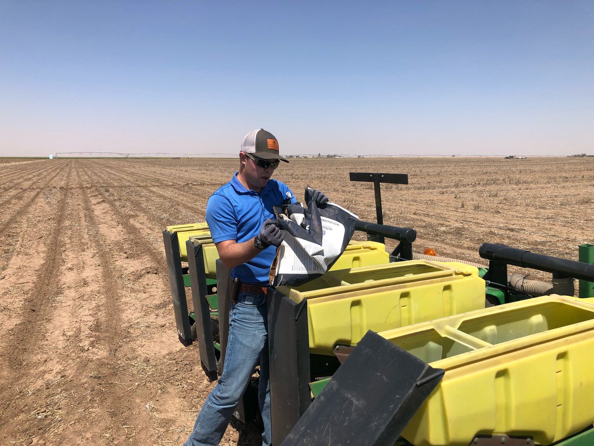 SeedNEWS4You's tweet photo. π Umbarger, TX and Shenck Farms! Thanks for putting our guys (Roger Gist & Justin Brown) to work on the plot ππͺπ½ #getPERFORMANCE https://t.co/6GdNKQfO6q