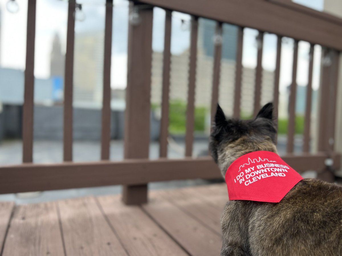 _buckeyeblonde's tweet photo. Kicking off the unofficial start of summer βοΈ with my bestie, a margarita & a walk around my favorite city. Say it with me now β¦ summa summa summa time #drumsplease https://t.co/BrscI6RtbS