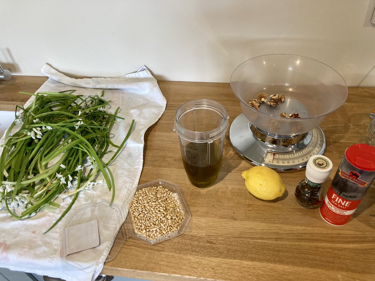 MariaCanEmb's tweet image. Very happy to have a friend who has plenty of wild garlic in her garden and grateful she shares some with me! Wild garlic pesto from a recipe by @DonalSkehan (with the addition of the juice of half a lemon) for dinner… nom nom nom 😋