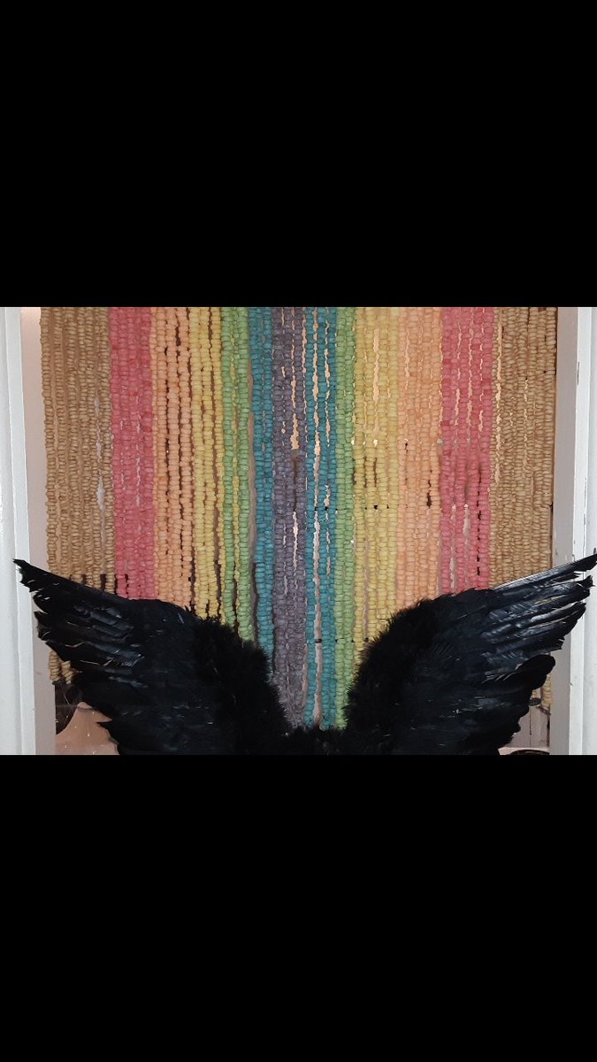 MichelleLPage1's tweet photo. @Stands #gish #rainbowwings https://t.co/whxLnCnRhz