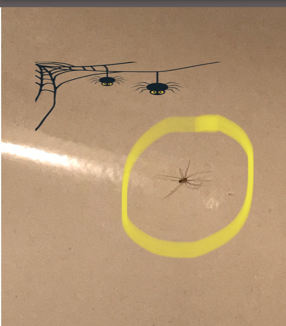 BethGinYGK's tweet image. Just letting you all know - rains a comin’ #pider