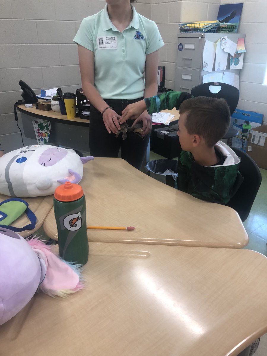 Yesterday my students had a few special guests come to teach about cold-blooded animals. They also got to meet Tim and Tina the turtles.