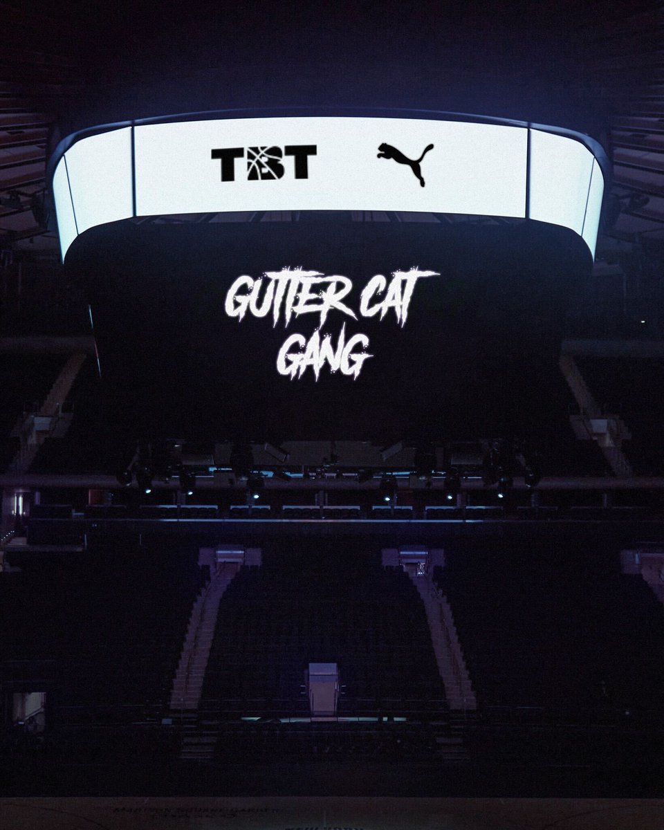 Gutter Cat Gang tweet media