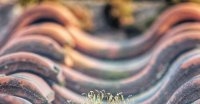 Why Fixing Your Roof Improves the Visual Appearance of House Interiors amazinginteriordesign.com/why-fixing-you…