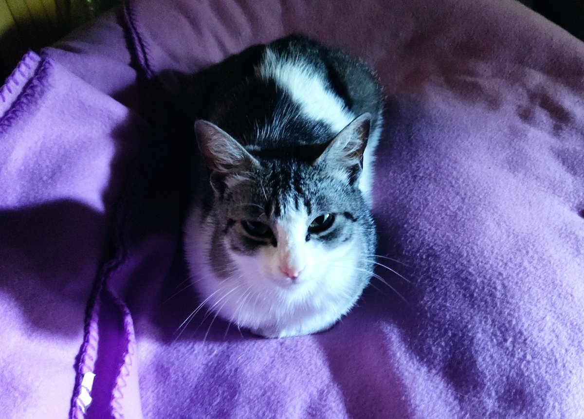 Jonathan Rivas tweet media