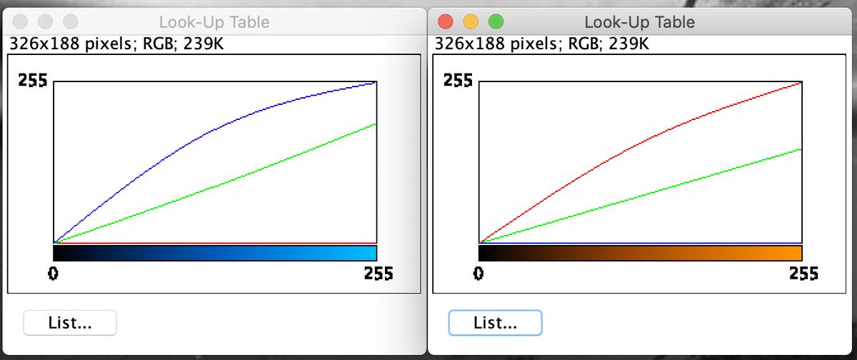 ZacSwider's tweet photo. @christlet @psobolewskiPhD @napari_imaging @JamesDManton They're the inverse of a couple "normal" lookup tables I made a few years ago, so yes definitely #InvertedLUT s! https://t.co/RPEX9AybhC