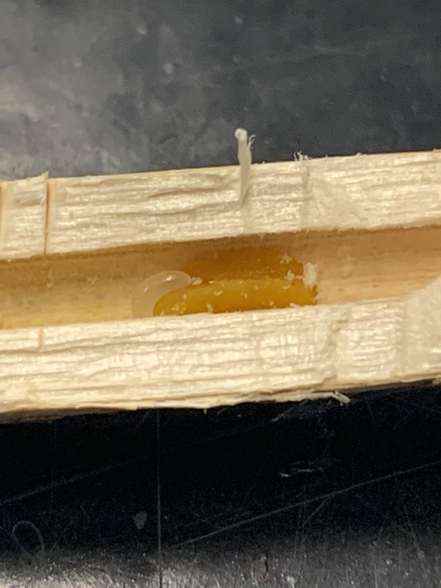 <a href="/CindyPNguyen/">Cindy Phuong Nguyen</a> and crew’s first pollen ball and egg of the season!!